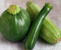 Grande courgette 1kg